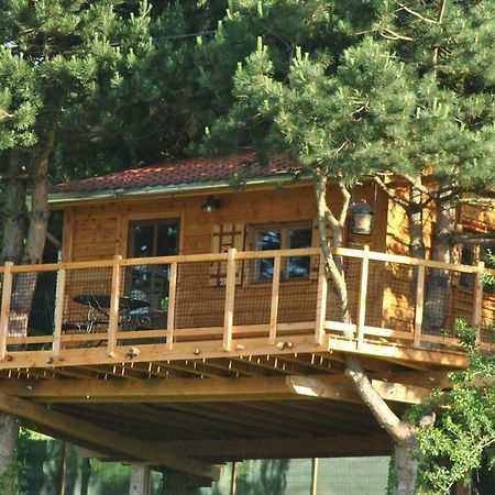 L'Etournelle - Cabane Perchee Chaussan Exteriör bild